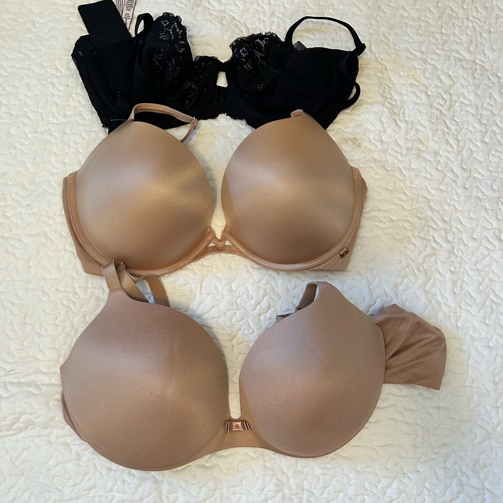 Elegant Tan and Black Lace Bras